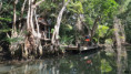 /album/fotogaleria-karibik-island-hopping-zajezd-vy-a-my/island-hopping-zajazd-00-36-jpg1/